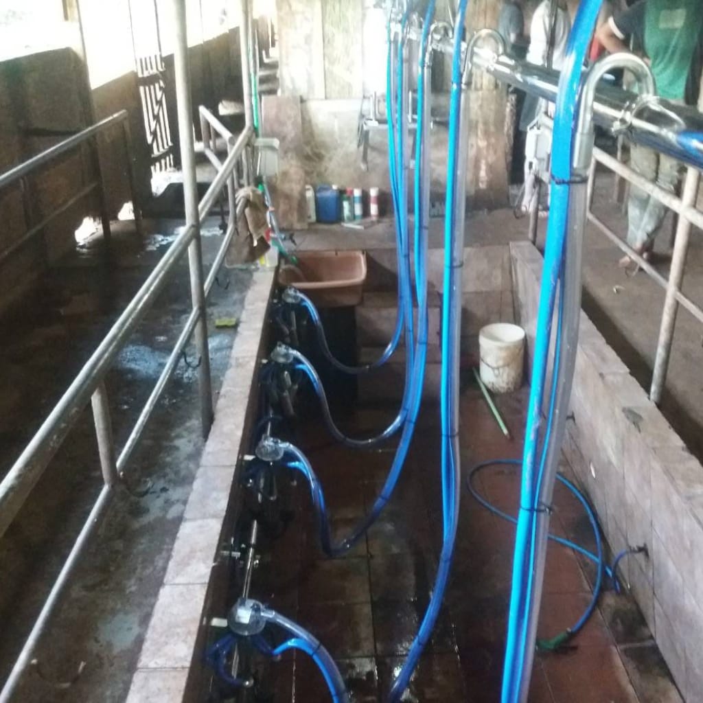 Granja Anssolin - Canalizada Instalada